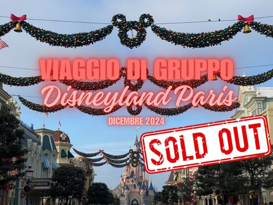 VIAGGIO ORGANIZZATO DISNEYLAND PARIS 2024